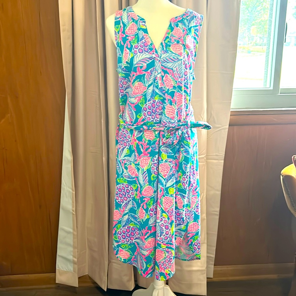 Lilly Pulitzer dress
